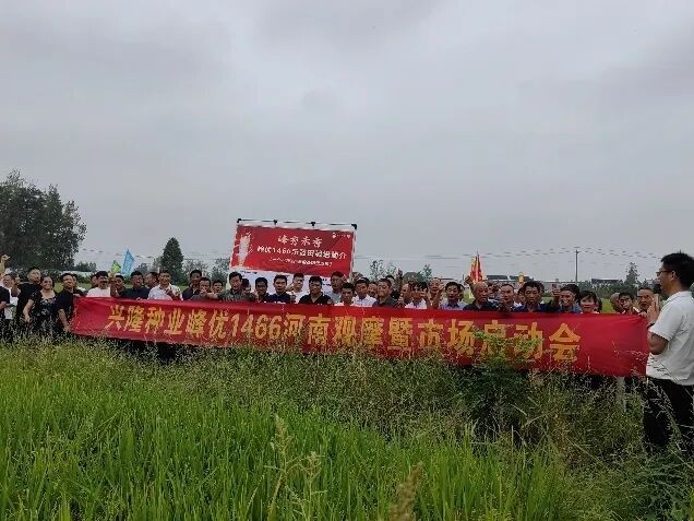 2024-2025年度峰優(yōu)1466河南省級觀摩暨市場啟動會