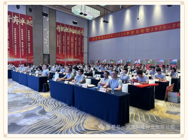 苦干巧干奔卓越，開拓創(chuàng)新續(xù)傳奇——興隆種業(yè)2024-2025年度總結(jié)暨2025-2026年度規(guī)劃會召開
