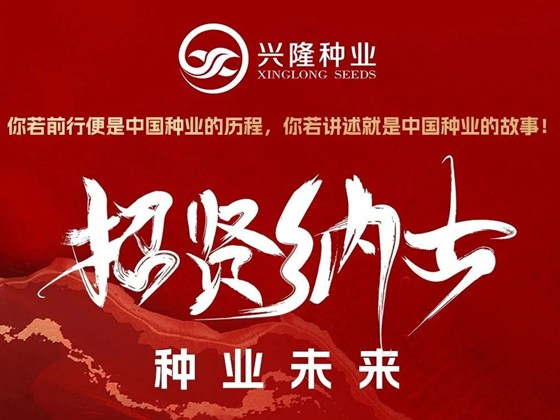 興隆種業(yè)高薪納賢｜攜手耕耘共創(chuàng)豐景湖南興隆種業(yè)深耕農(nóng)業(yè)科技，現(xiàn)開啟黃金招聘季！