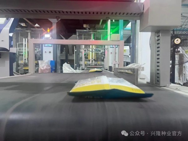 新線投產(chǎn)！您的訂單，我們“產(chǎn)”得出、“交”得快！