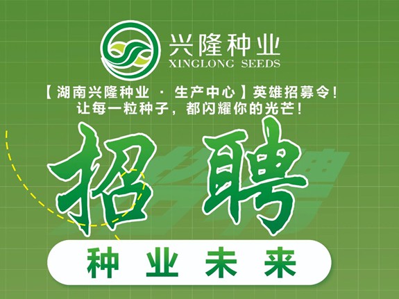 生產(chǎn)精英召集令！生產(chǎn)崗擴(kuò)編，薪資福利全都為您配齊啦