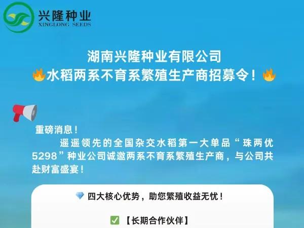興隆種業(yè)招募水稻兩系不育系繁殖生產(chǎn)商