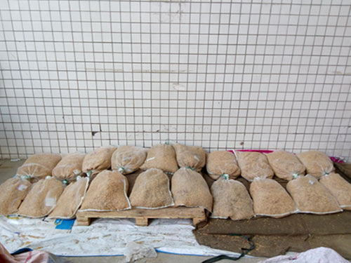 湖南興隆種業(yè)有限公司,長沙稻谷種植與銷售,長沙農(nóng)作物品種的選育,長沙農(nóng)業(yè)病蟲害防治服務(wù) 湖南興隆種業(yè)有限公司,長沙稻谷種植與銷售,長沙農(nóng)作物品種的選育,長沙農(nóng)業(yè)病蟲害防治服務(wù)