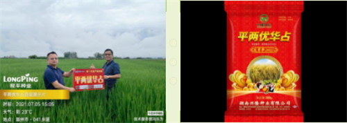 湖南興隆種業(yè)有限公司,長沙稻谷種植與銷售,長沙農(nóng)作物品種的選育,長沙農(nóng)業(yè)病蟲害防治服務