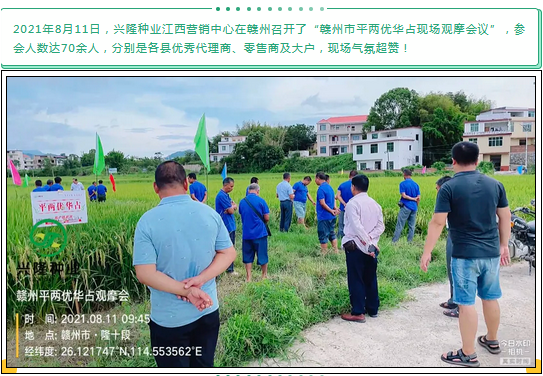 湖南興隆種業(yè)有限公司,長沙稻谷種植與銷售,長沙農(nóng)作物品種的選育,長沙農(nóng)業(yè)病蟲害防治服務