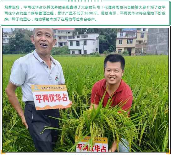 湖南興隆種業(yè)有限公司,長沙稻谷種植與銷售,長沙農(nóng)作物品種的選育,長沙農(nóng)業(yè)病蟲害防治服務