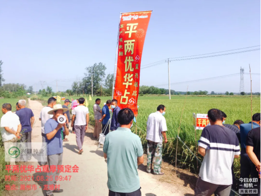 湖南興隆種業(yè)有限公司,長沙稻谷種植與銷售,長沙農(nóng)作物品種的選育,長沙農(nóng)業(yè)病蟲害防治服務(wù)