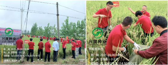 湖南興隆種業(yè)有限公司,長沙稻谷種植與銷售,長沙農作物品種的選育,長沙農業(yè)病蟲害防治服務