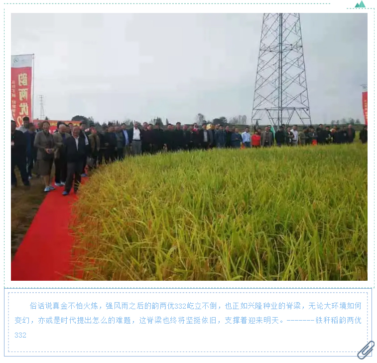 湖南逸華電源有限公司_直流屏定制廠家_UPS免維護鉛酸蓄電池供應(yīng)_電力模塊廠商