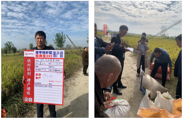 湖南興隆種業(yè)有限公司,長(zhǎng)沙稻谷種植與銷(xiāo)售,長(zhǎng)沙農(nóng)作物品種的選育,長(zhǎng)沙農(nóng)業(yè)病蟲(chóng)害防治服務(wù)