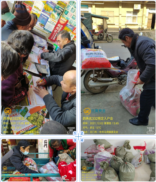 湖南興隆種業(yè)有限公司,長沙稻谷種植與銷售,長沙農作物品種的選育,長沙農業(yè)病蟲害防治服務