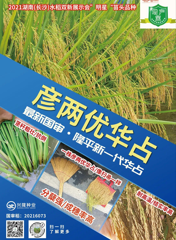 湖南興隆種業(yè)有限公司,長(zhǎng)沙稻谷種植與銷售,長(zhǎng)沙農(nóng)作物品種的選育,長(zhǎng)沙農(nóng)業(yè)病蟲害防治服務(wù) 湖南興隆種業(yè)有限公司,長(zhǎng)沙稻谷種植與銷售,長(zhǎng)沙農(nóng)作物品種的選育,長(zhǎng)沙農(nóng)業(yè)病蟲害防治服務(wù)