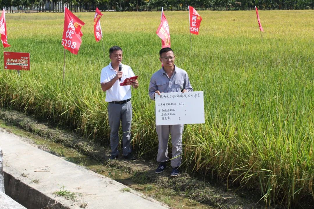 湖南興隆種業(yè)有限公司,長(zhǎng)沙稻谷種植與銷(xiāo)售,長(zhǎng)沙農(nóng)作物品種的選育,長(zhǎng)沙農(nóng)業(yè)病蟲(chóng)害防治服務(wù) 湖南興隆種業(yè)有限公司,長(zhǎng)沙稻谷種植與銷(xiāo)售,長(zhǎng)沙農(nóng)作物品種的選育,長(zhǎng)沙農(nóng)業(yè)病蟲(chóng)害防治服務(wù)