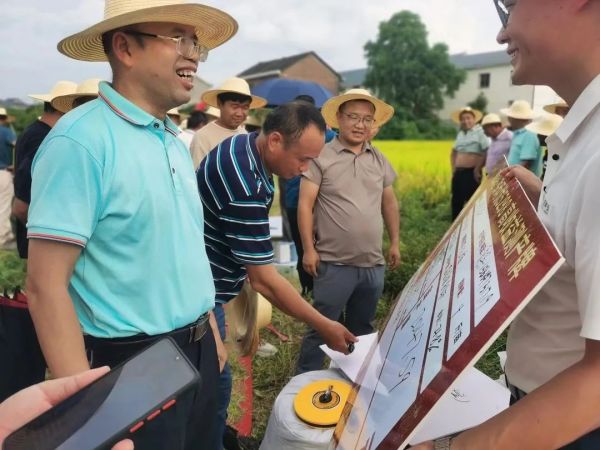 湖南興隆種業(yè)有限公司,長(zhǎng)沙稻谷種植與銷售,長(zhǎng)沙農(nóng)作物品種的選育,長(zhǎng)沙農(nóng)業(yè)病蟲害防治服務(wù)