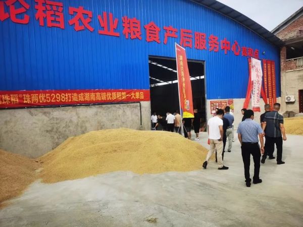 湖南興隆種業(yè)有限公司,長(zhǎng)沙稻谷種植與銷售,長(zhǎng)沙農(nóng)作物品種的選育,長(zhǎng)沙農(nóng)業(yè)病蟲害防治服務(wù)