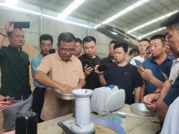 湖南興隆種業(yè)有限公司,長(zhǎng)沙稻谷種植與銷售,長(zhǎng)沙農(nóng)作物品種的選育,長(zhǎng)沙農(nóng)業(yè)病蟲害防治服務(wù)