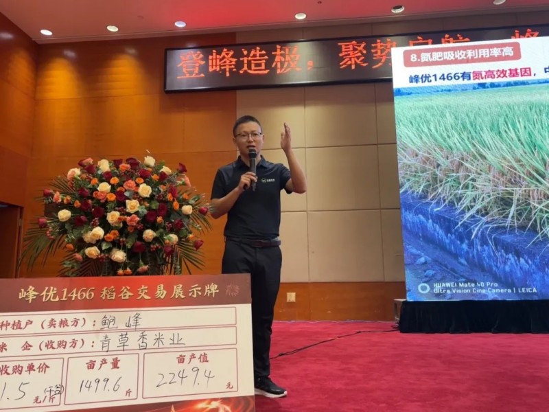 湖南興隆種業(yè)有限公司,長沙稻谷種植與銷售,長沙農(nóng)作物品種的選育,長沙農(nóng)業(yè)病蟲害防治服務