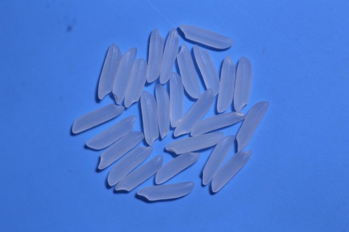 湖南興隆種業(yè)有限公司,長沙稻谷種植與銷售,長沙農(nóng)作物品種的選育,長沙農(nóng)業(yè)病蟲害防治服務(wù)