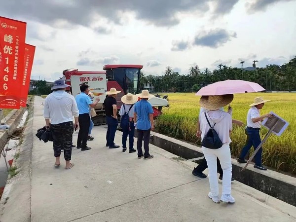湖南興隆種業(yè)有限公司,長沙稻谷種植與銷售,長沙農(nóng)作物品種的選育,長沙農(nóng)業(yè)病蟲害防治服務(wù) 湖南興隆種業(yè)有限公司,長沙稻谷種植與銷售,長沙農(nóng)作物品種的選育,長沙農(nóng)業(yè)病蟲害防治服務(wù)