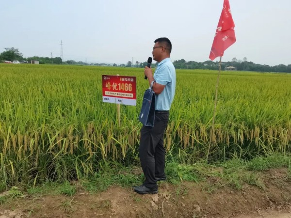 湖南興隆種業(yè)有限公司,長沙稻谷種植與銷售,長沙農(nóng)作物品種的選育,長沙農(nóng)業(yè)病蟲害防治服務(wù)