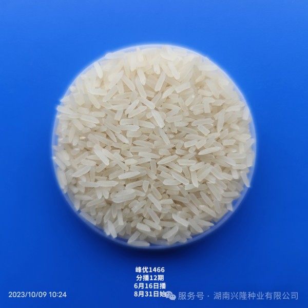 湖南興隆種業(yè)有限公司,長沙稻谷種植與銷售,長沙農(nóng)作物品種的選育,長沙農(nóng)業(yè)病蟲害防治服務(wù)