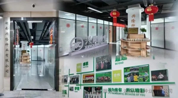 湖南興隆種業(yè)有限公司,長(zhǎng)沙稻谷種植與銷售,長(zhǎng)沙農(nóng)作物品種的選育,長(zhǎng)沙農(nóng)業(yè)病蟲(chóng)害防治服務(wù)