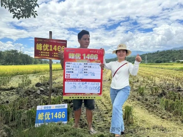 湖南興隆種業(yè)有限公司,長(zhǎng)沙稻谷種植與銷(xiāo)售,長(zhǎng)沙農(nóng)作物品種的選育,長(zhǎng)沙農(nóng)業(yè)病蟲(chóng)害防治服務(wù)