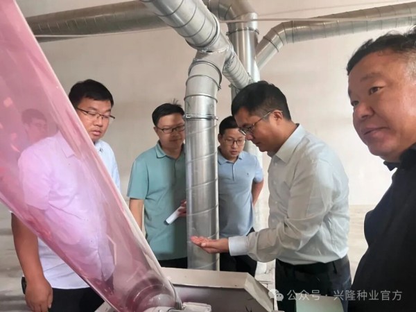 湖南興隆種業(yè)有限公司,長沙稻谷種植與銷售,長沙農(nóng)作物品種的選育,長沙農(nóng)業(yè)病蟲害防治服務(wù)