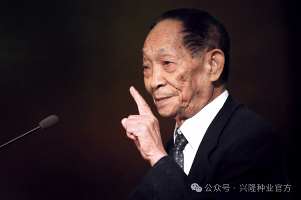 湖南興隆種業(yè)有限公司,長沙稻谷種植與銷售,長沙農(nóng)作物品種的選育,長沙農(nóng)業(yè)病蟲害防治服務(wù)