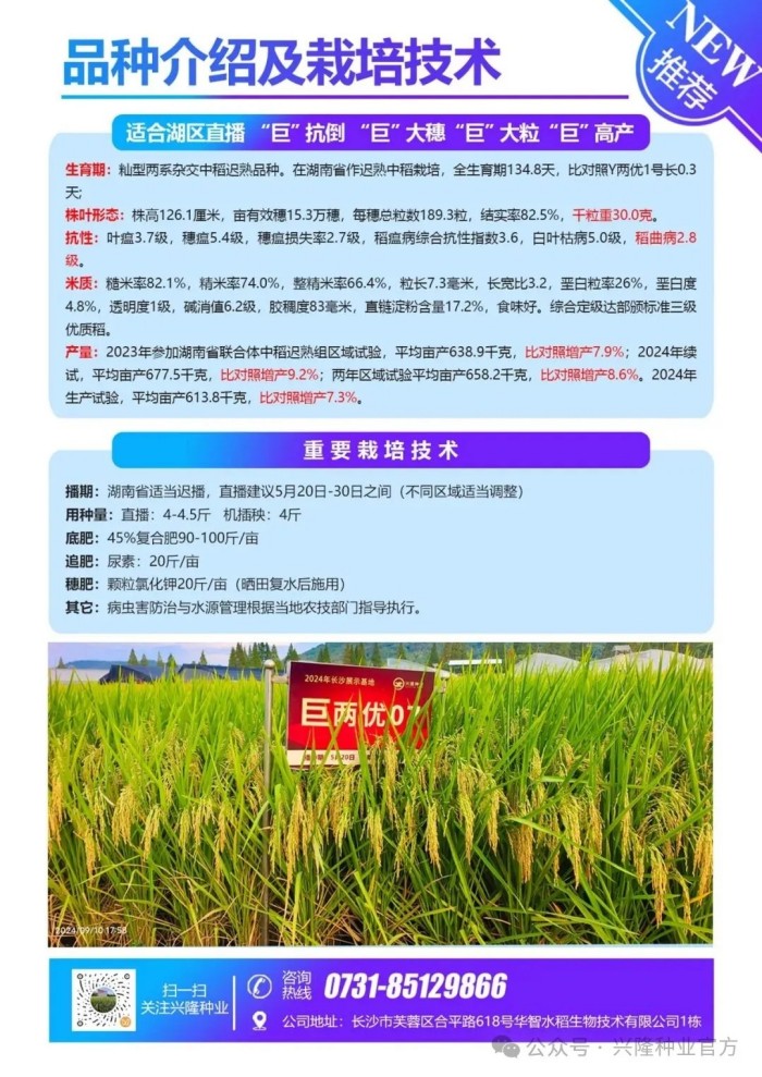 湖南興隆種業(yè)有限公司,長(zhǎng)沙稻谷種植與銷售,長(zhǎng)沙農(nóng)作物品種的選育,長(zhǎng)沙農(nóng)業(yè)病蟲害防治服務(wù)