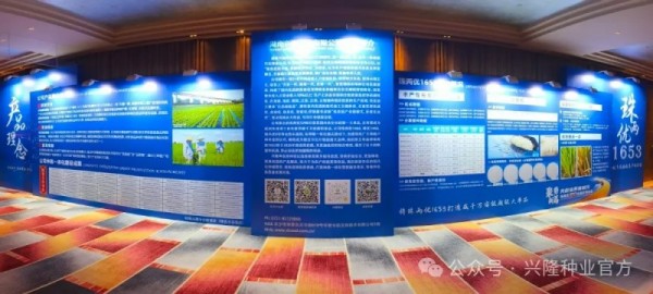 湖南興隆種業(yè)有限公司,長沙稻谷種植與銷售,長沙農(nóng)作物品種的選育,長沙農(nóng)業(yè)病蟲害防治服務