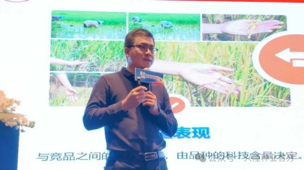 湖南興隆種業(yè)有限公司,長沙稻谷種植與銷售,長沙農(nóng)作物品種的選育,長沙農(nóng)業(yè)病蟲害防治服務