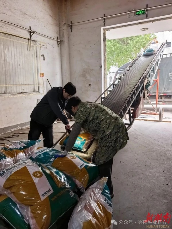 湖南興隆種業(yè)有限公司,長沙稻谷種植與銷售,長沙農(nóng)作物品種的選育,長沙農(nóng)業(yè)病蟲害防治服務(wù)